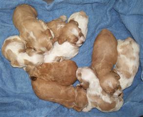 all 2 wks